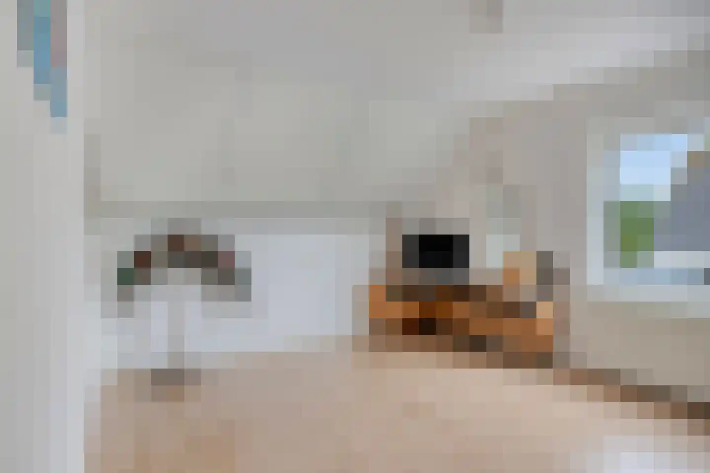 Liesbosdreef 12 Prinsenbeek thumbnail 27