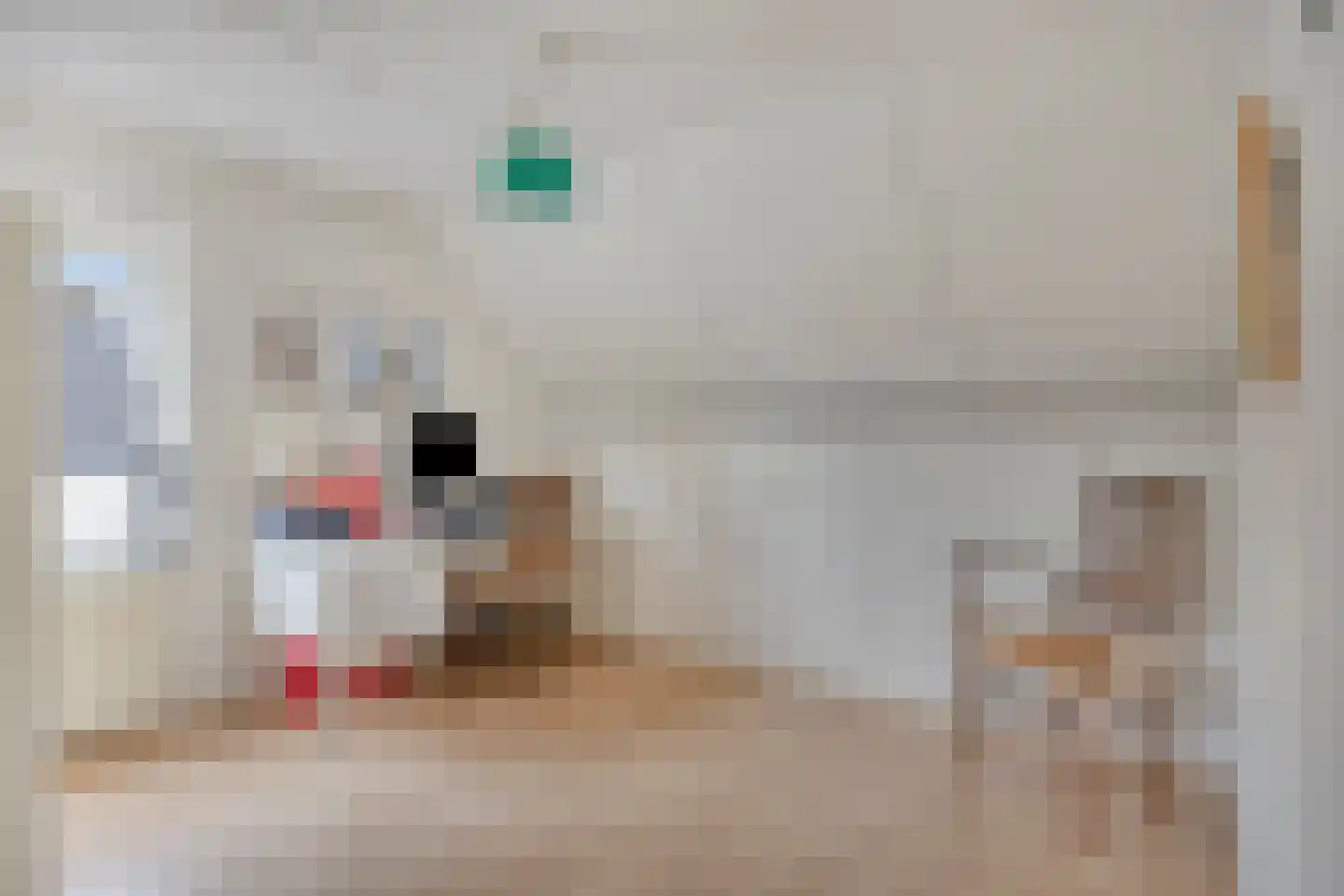 Liesbosdreef 12 Prinsenbeek thumbnail 29