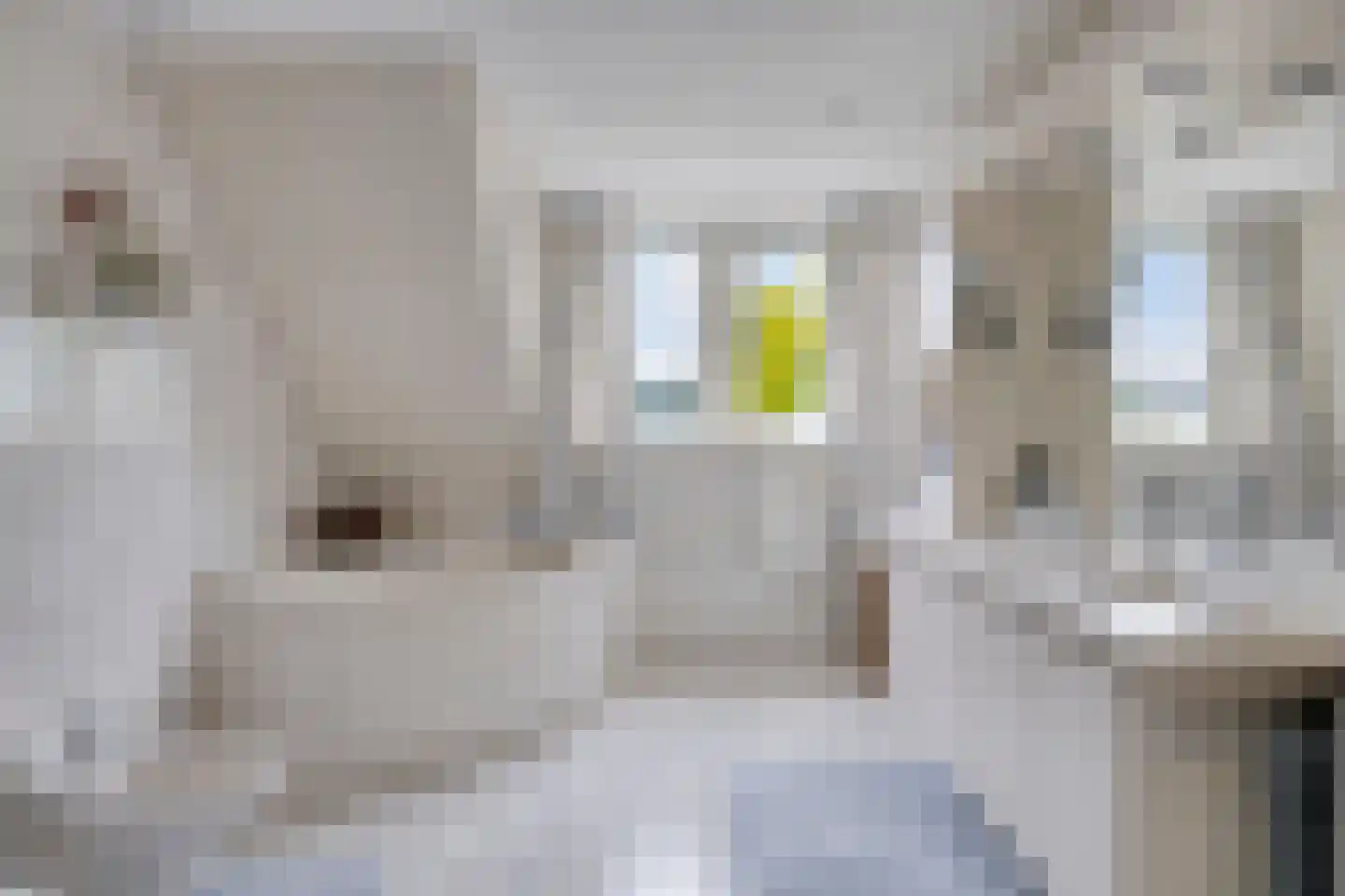 Liesbosdreef 12 Prinsenbeek thumbnail 31