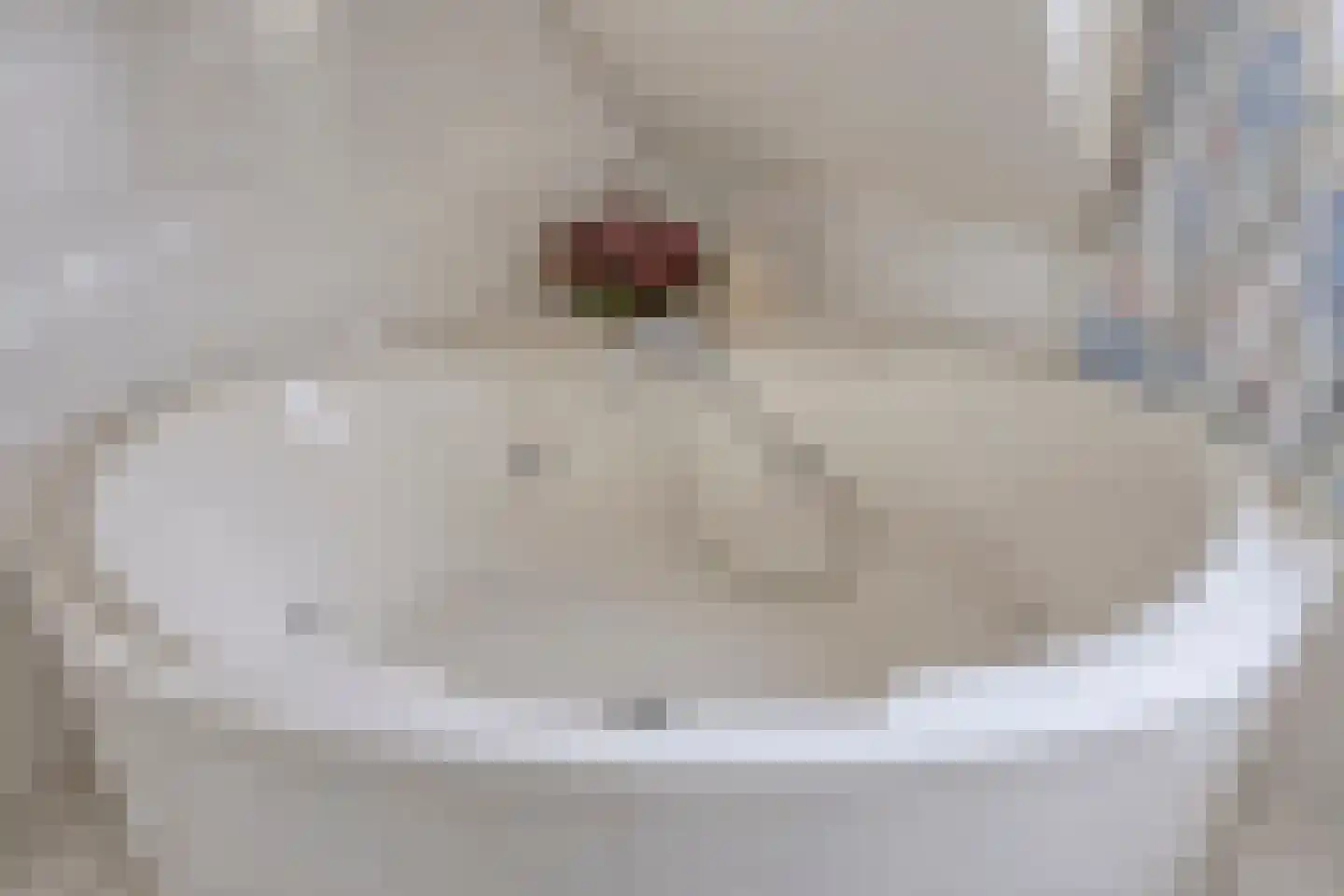Liesbosdreef 12 Prinsenbeek thumbnail 33