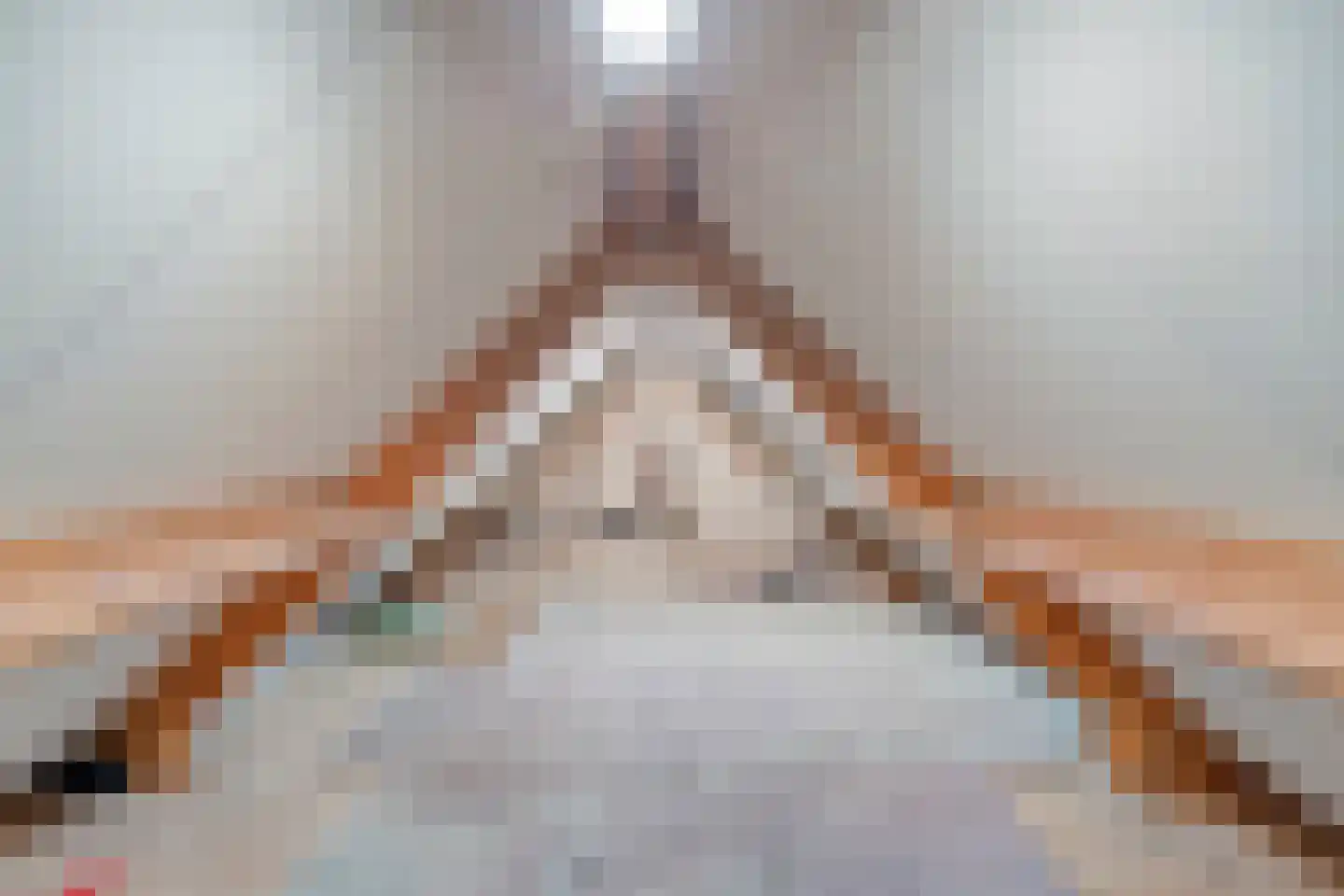 Liesbosdreef 12 Prinsenbeek thumbnail 38