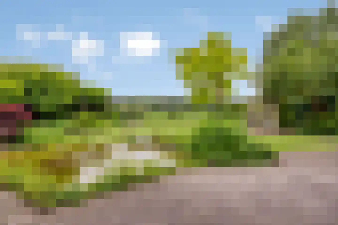 Liesbosdreef 12 Prinsenbeek thumbnail 39