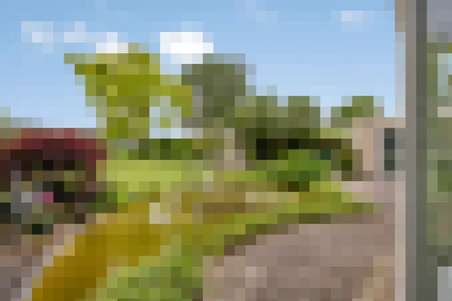 Liesbosdreef 12 Prinsenbeek thumbnail 40