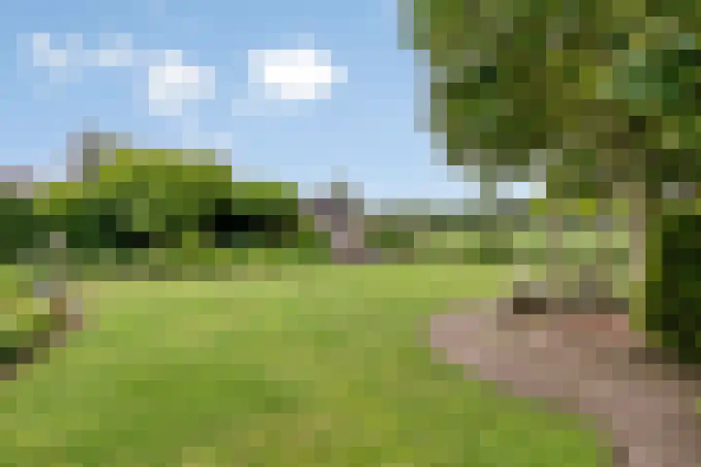 Liesbosdreef 12 Prinsenbeek thumbnail 41