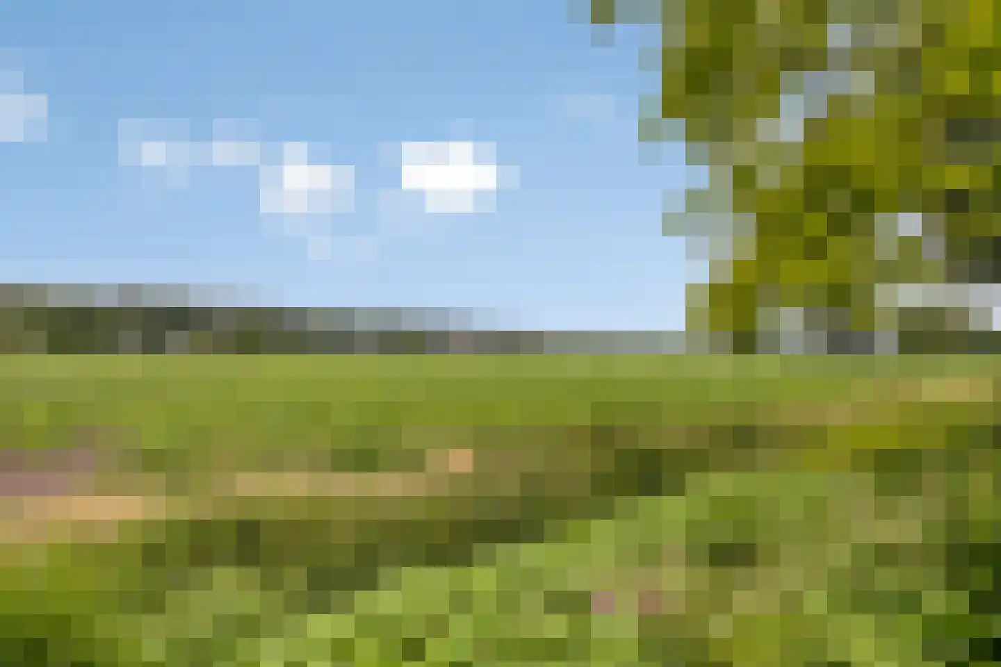 Liesbosdreef 12 Prinsenbeek thumbnail 47