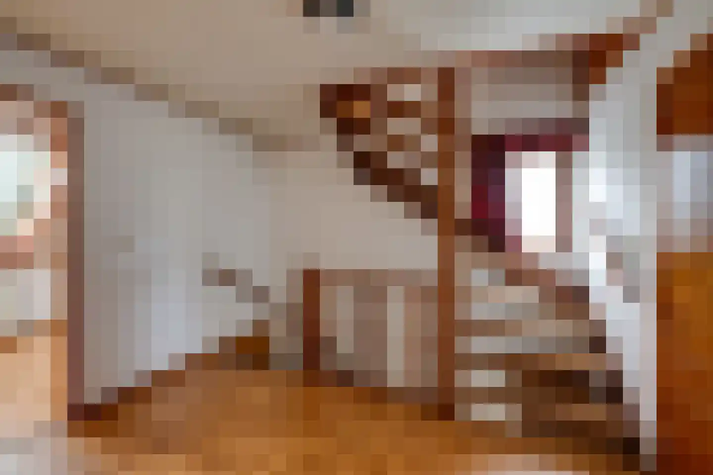 Liesbosdreef 13 Prinsenbeek thumbnail 21