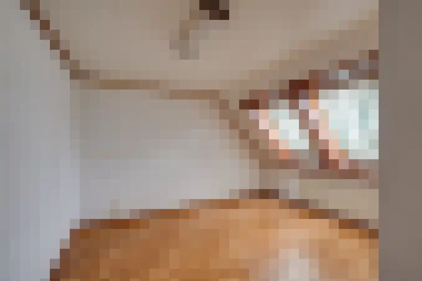 Liesbosdreef 13 Prinsenbeek thumbnail 24