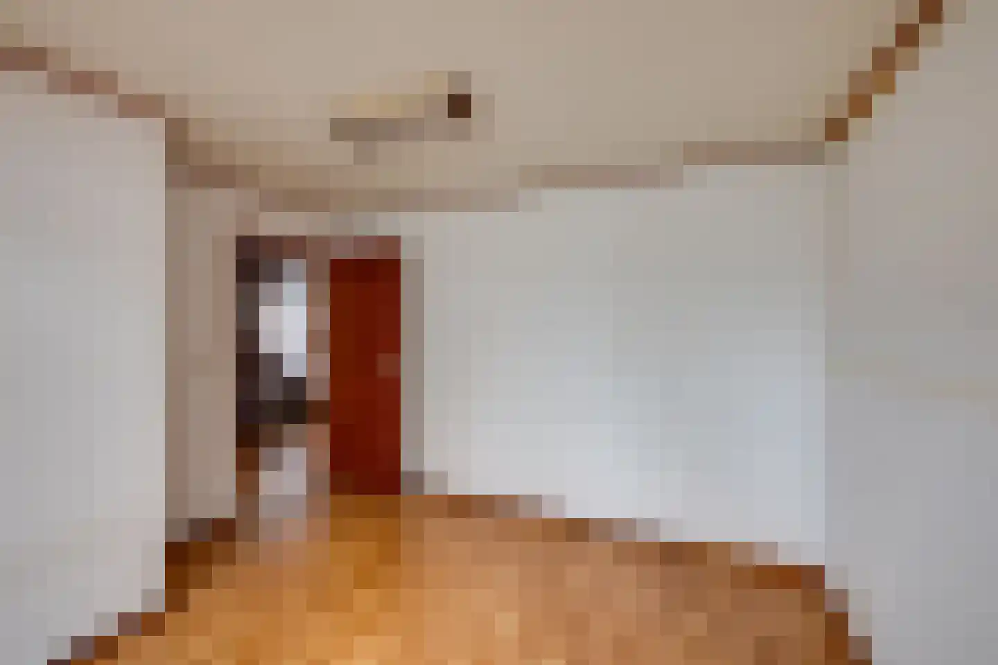 Liesbosdreef 13 Prinsenbeek thumbnail 25