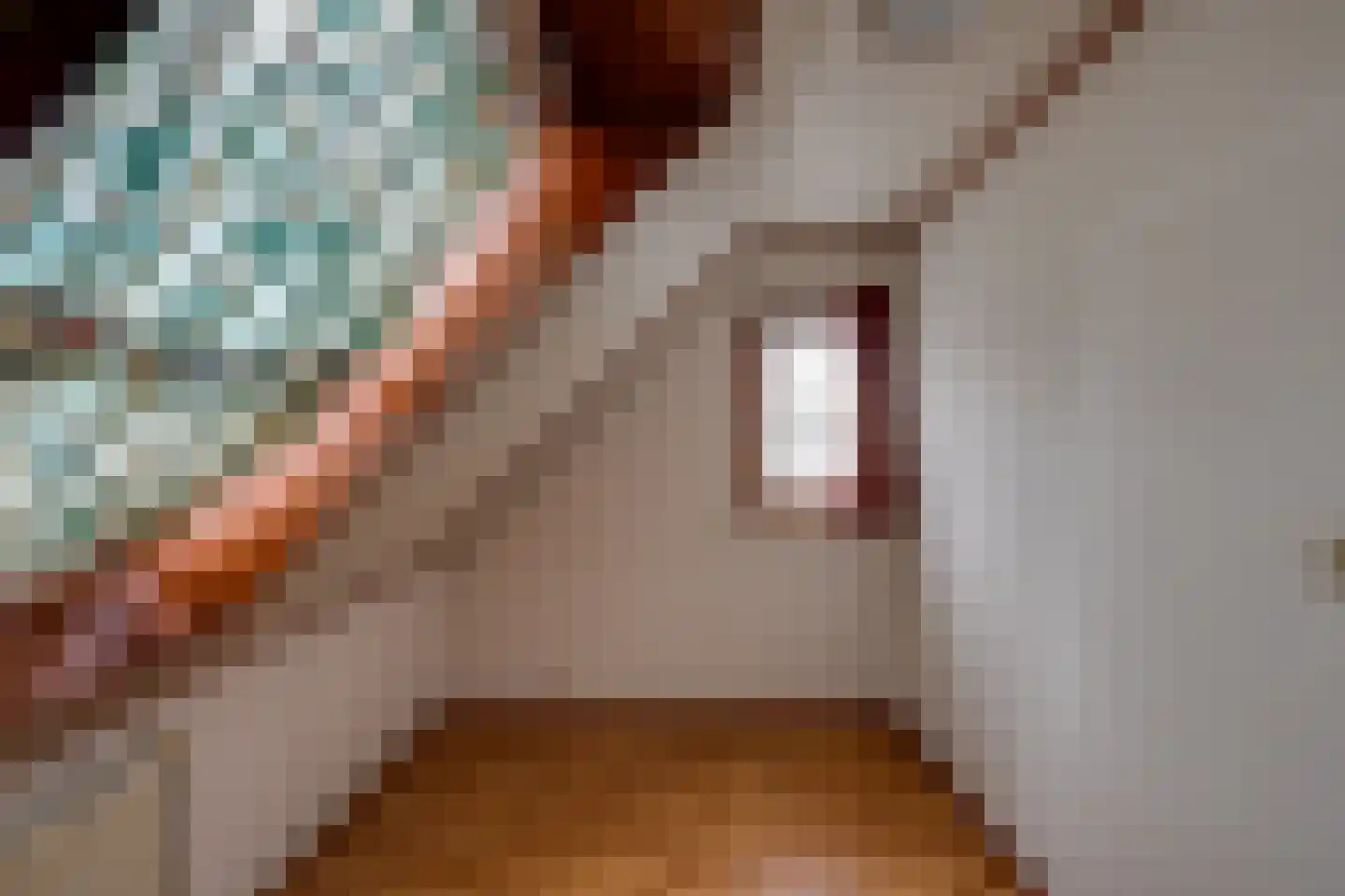 Liesbosdreef 13 Prinsenbeek thumbnail 27