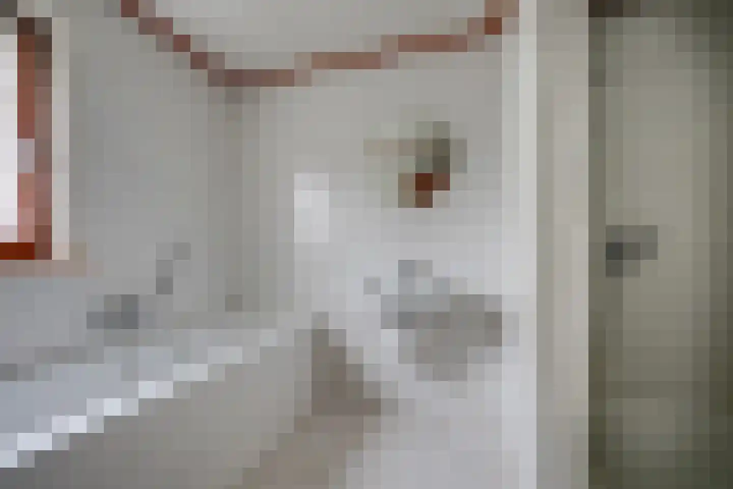 Liesbosdreef 13 Prinsenbeek thumbnail 28
