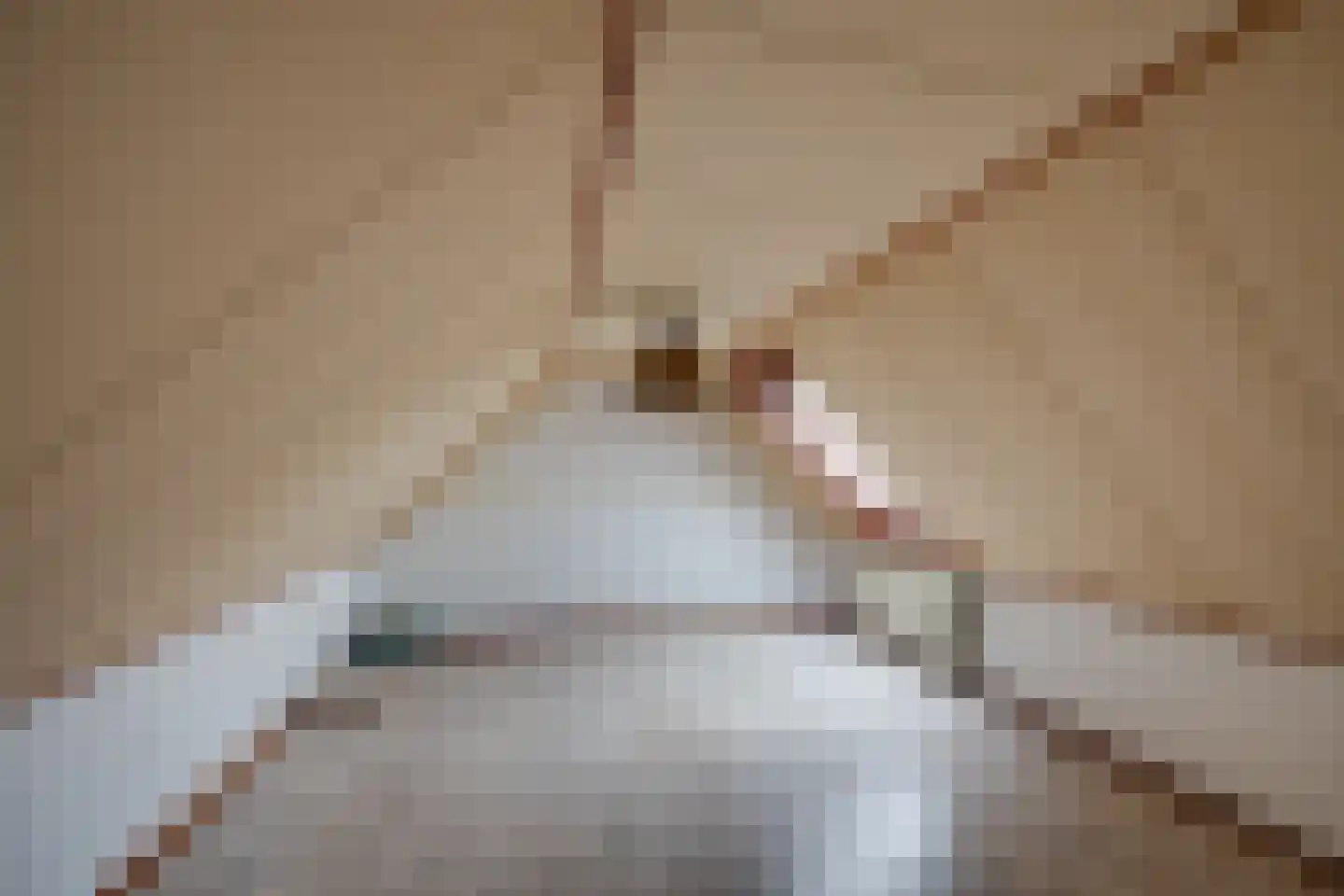 Liesbosdreef 13 Prinsenbeek thumbnail 30