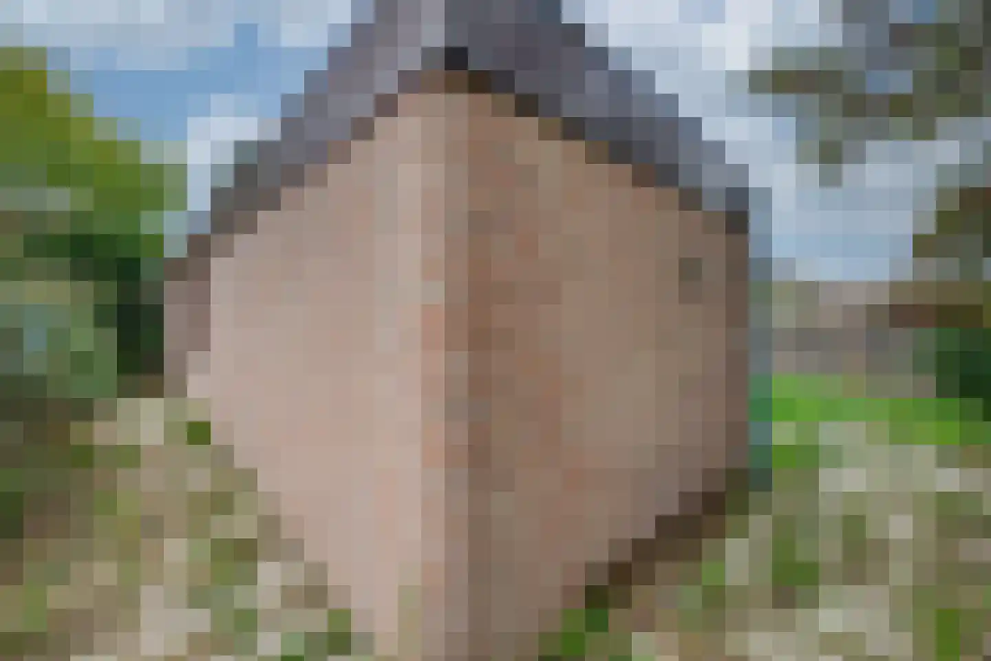 Liesbosdreef 13 Prinsenbeek thumbnail 34