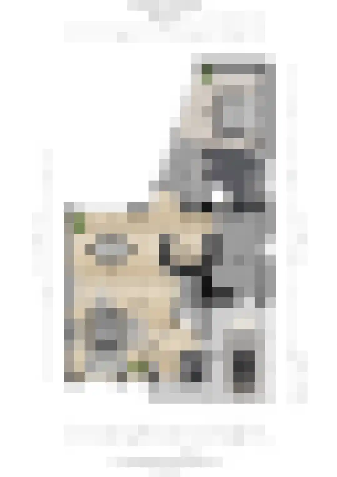 Liesbosdreef 13 Prinsenbeek thumbnail 36