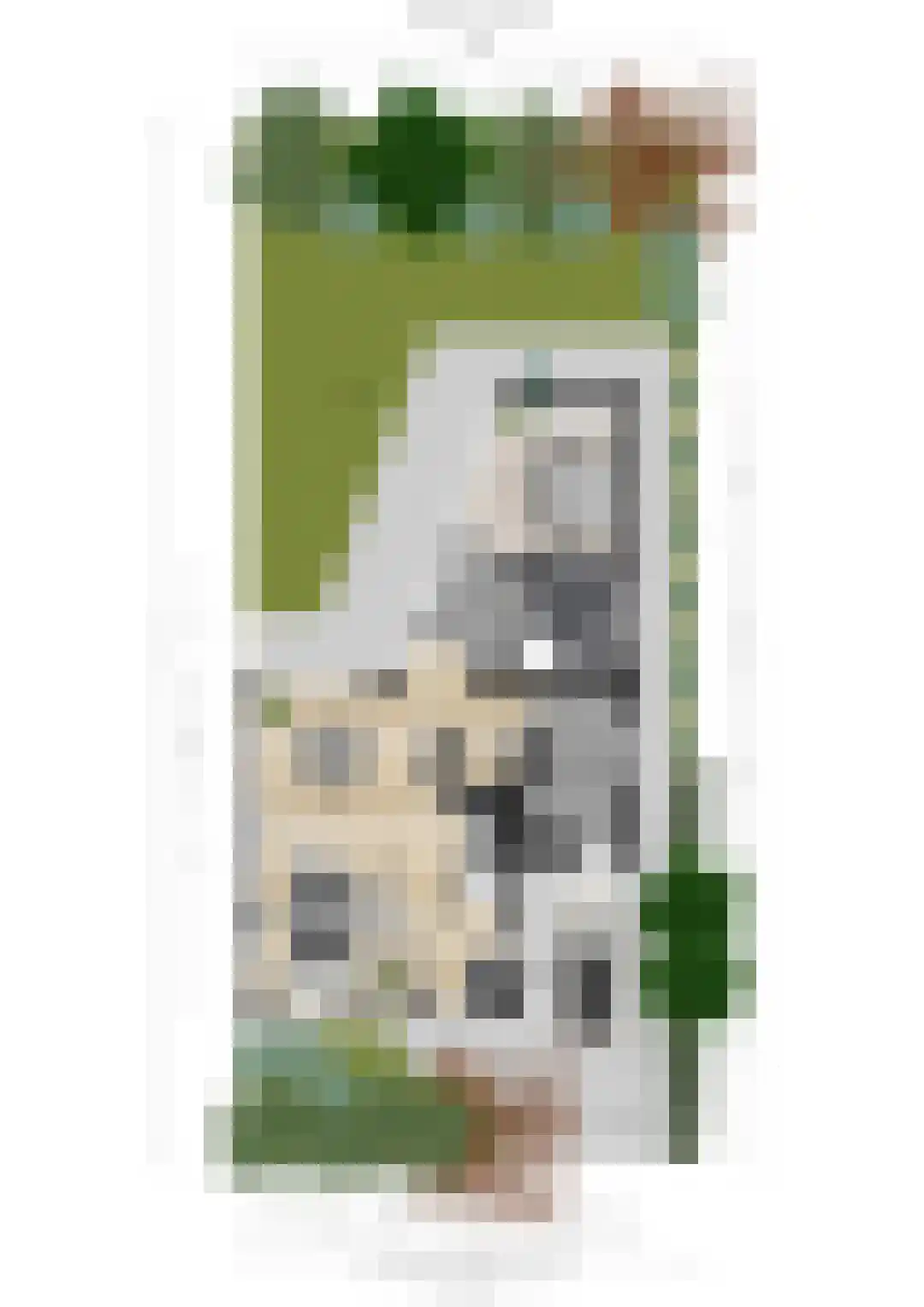 Liesbosdreef 13 Prinsenbeek thumbnail 39