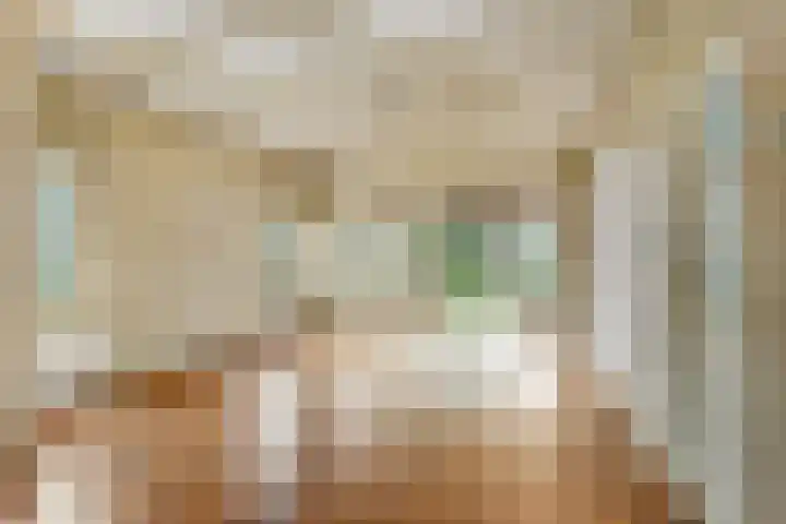 Liesboslaan 121 Breda thumbnail 17