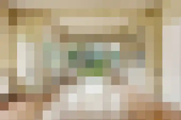 Liesboslaan 121 Breda thumbnail 18