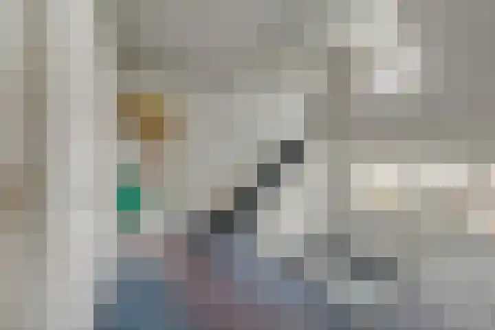 Liesboslaan 121 Breda thumbnail 19