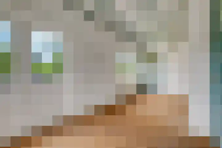 Liesboslaan 121 Breda thumbnail 20