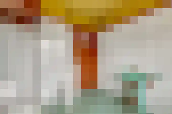 Liesboslaan 121 Breda thumbnail 25