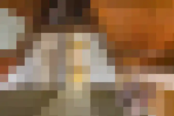 Liesboslaan 121 Breda thumbnail 26