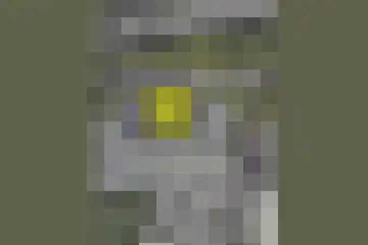 Liesboslaan 121 Breda thumbnail 32