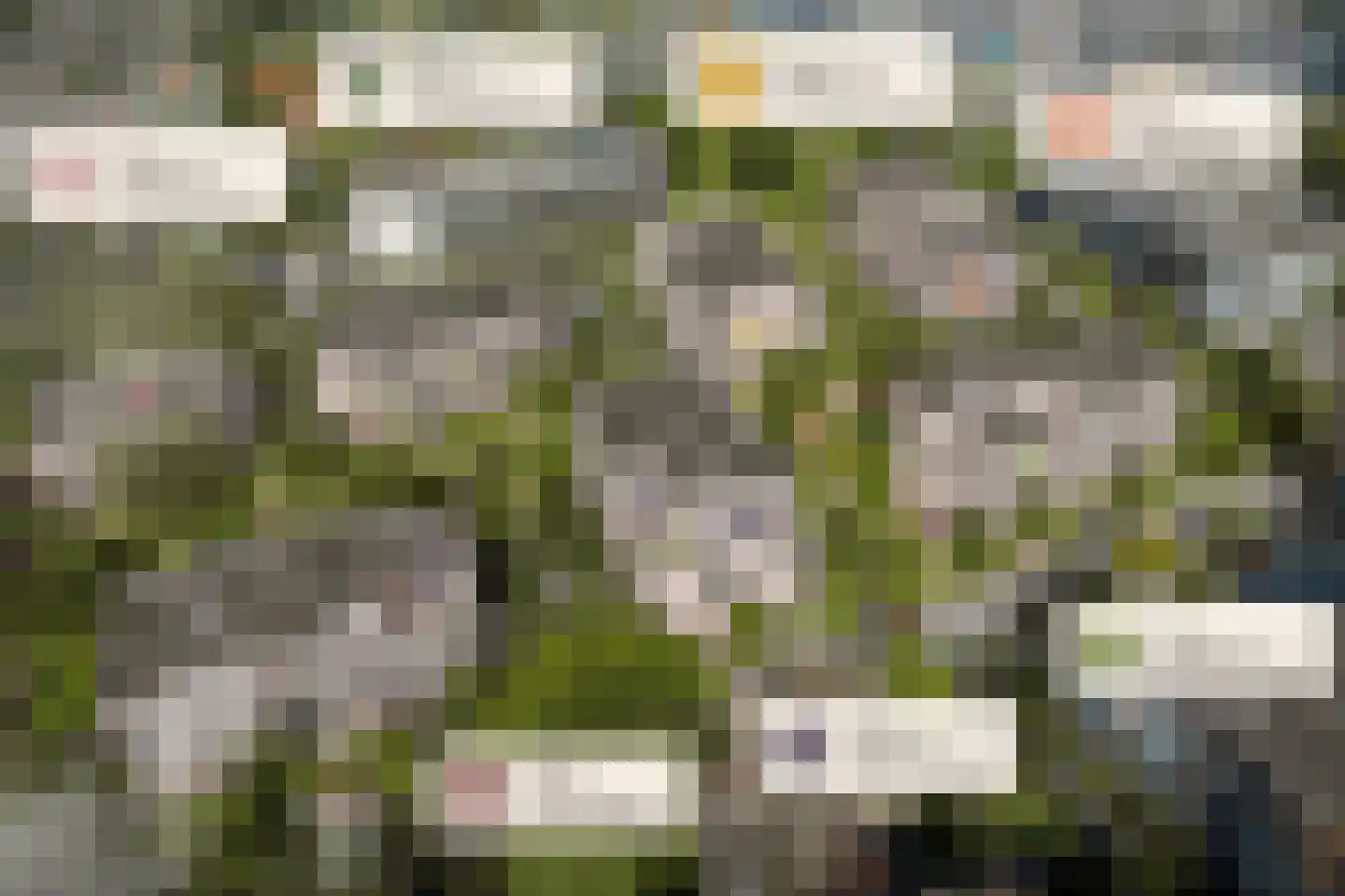 Liesboslaan 15 Breda thumbnail 10