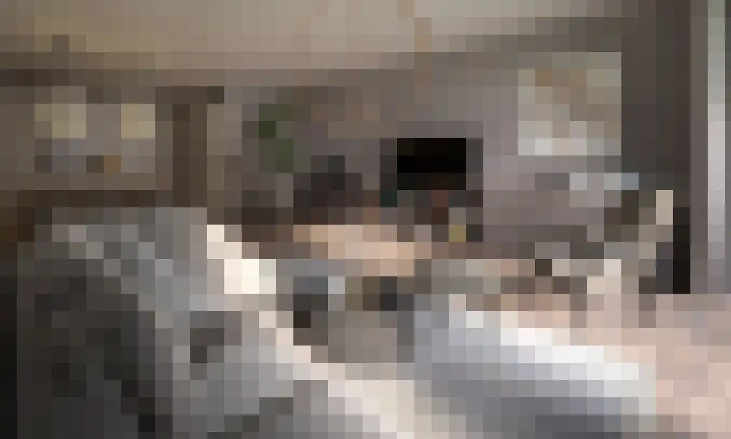 Liesboslaan 15 Breda thumbnail 4