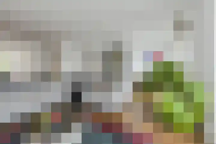 Liesboslaan 45 Breda thumbnail 11