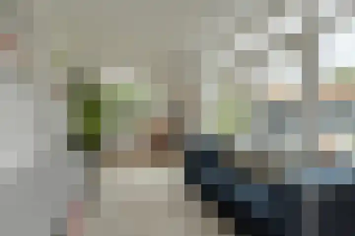 Liesboslaan 45 Breda thumbnail 22