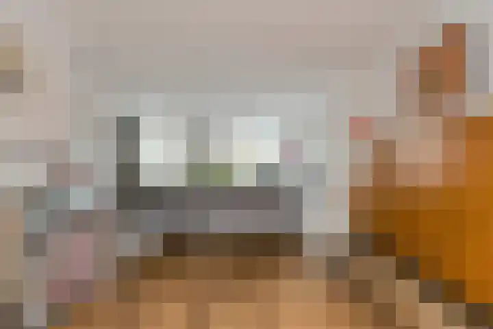 Liesboslaan 45 Breda thumbnail 27
