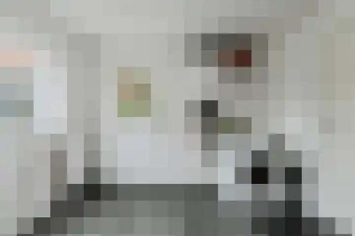 Liesboslaan 45 Breda thumbnail 28