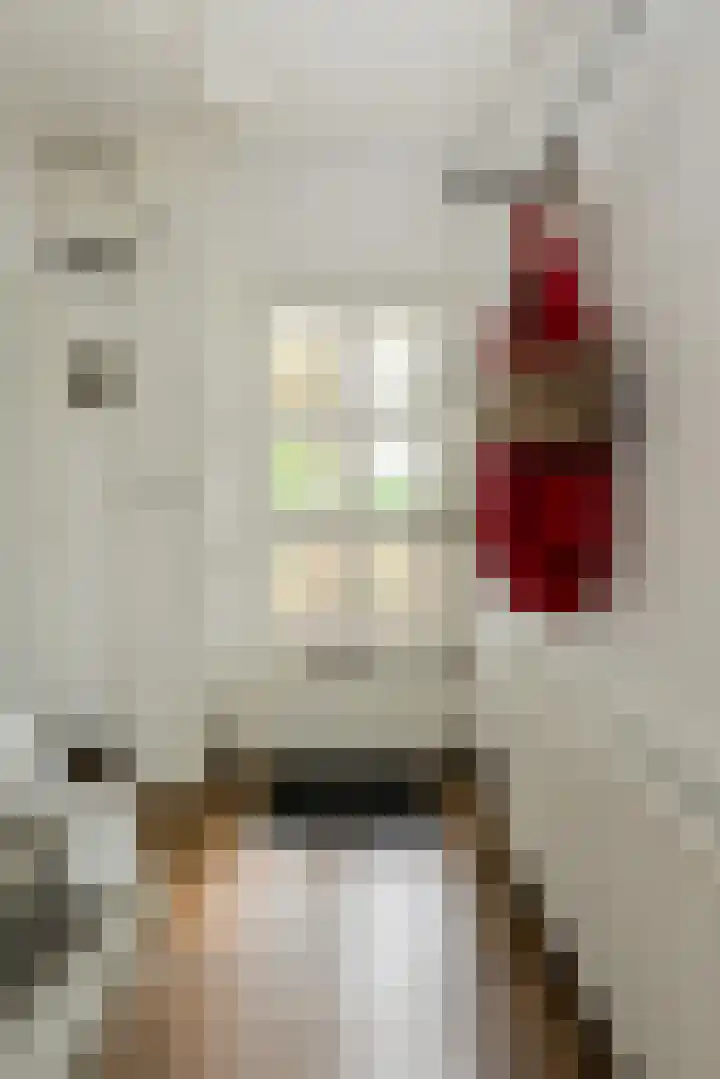 Liesboslaan 45 Breda thumbnail 30