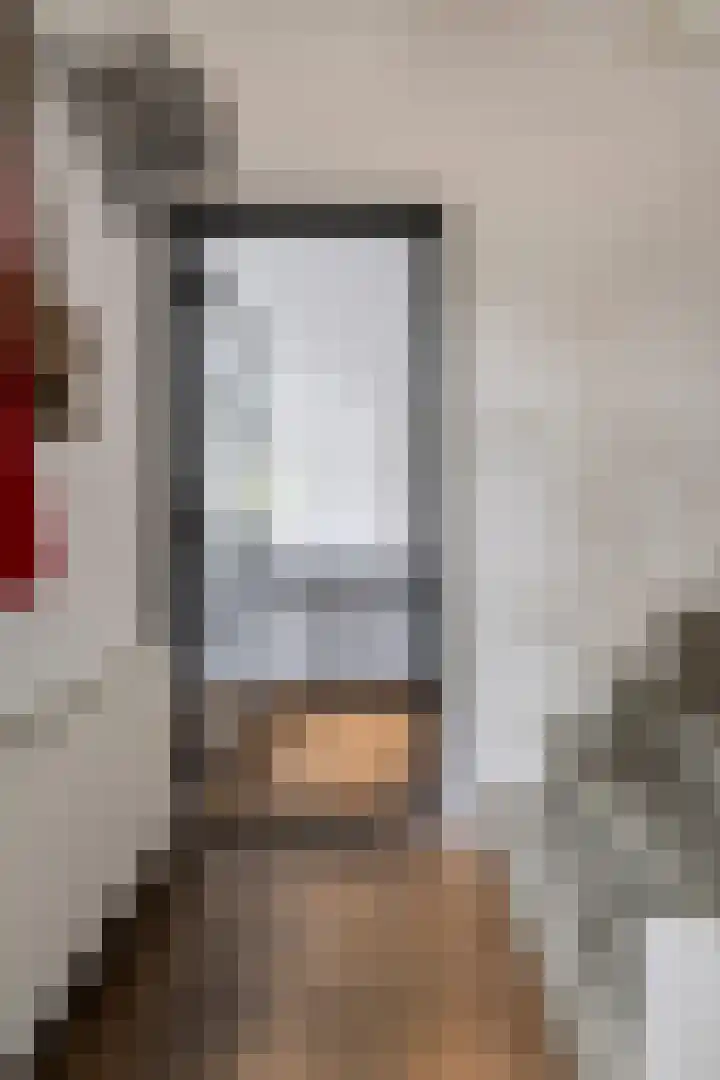 Liesboslaan 45 Breda thumbnail 32