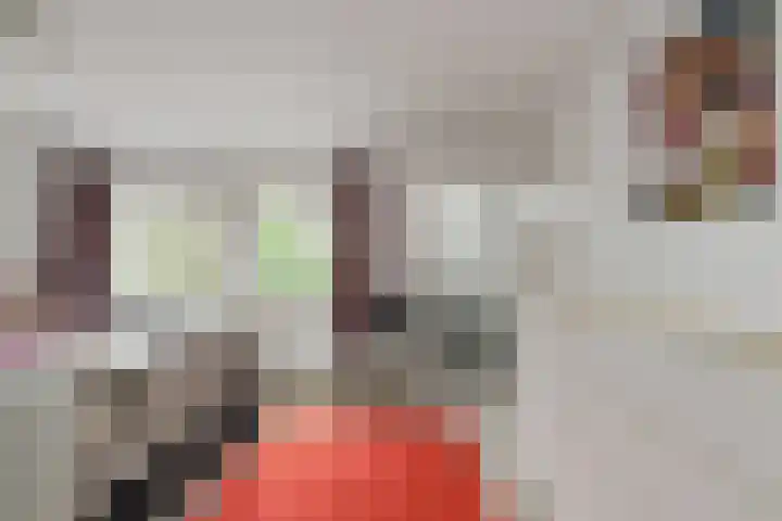 Liesboslaan 45 Breda thumbnail 35