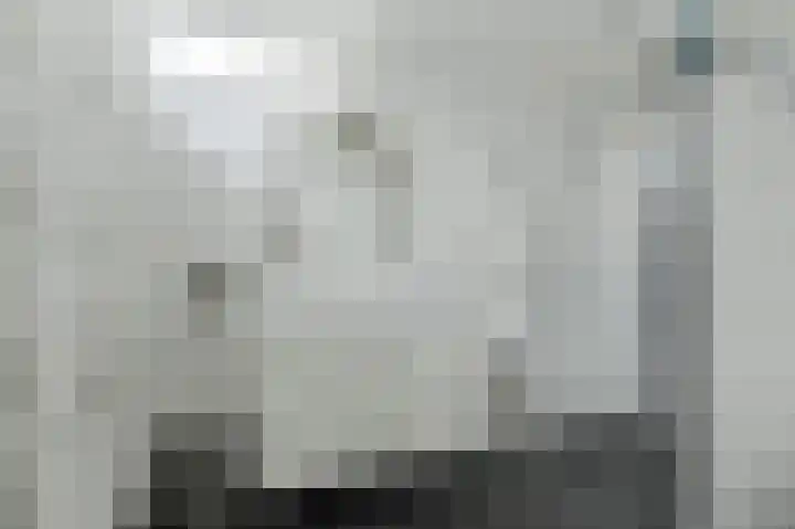 Liesboslaan 45 Breda thumbnail 36