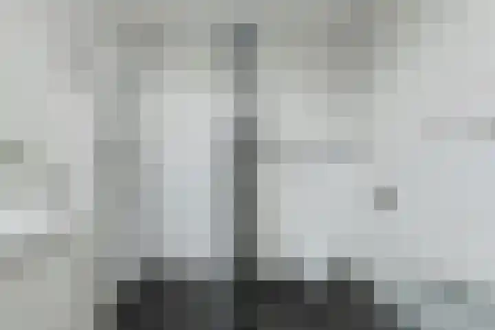 Liesboslaan 45 Breda thumbnail 37