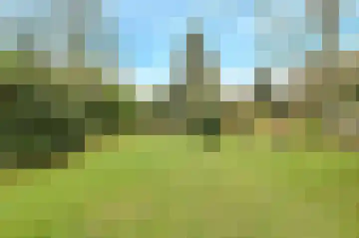 Liesboslaan 45 Breda thumbnail 4