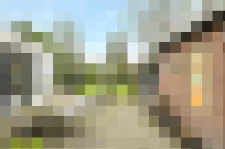 Liesboslaan 45 Breda thumbnail 46
