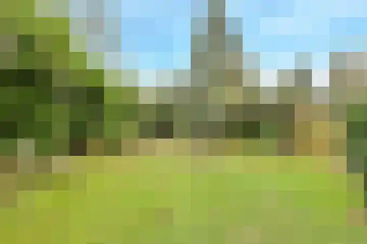 Liesboslaan 45 Breda thumbnail 47