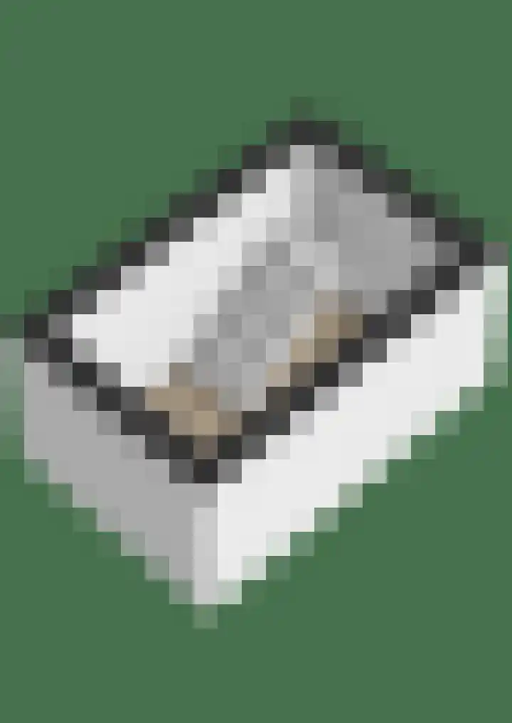 Liesboslaan 45 Breda thumbnail 54