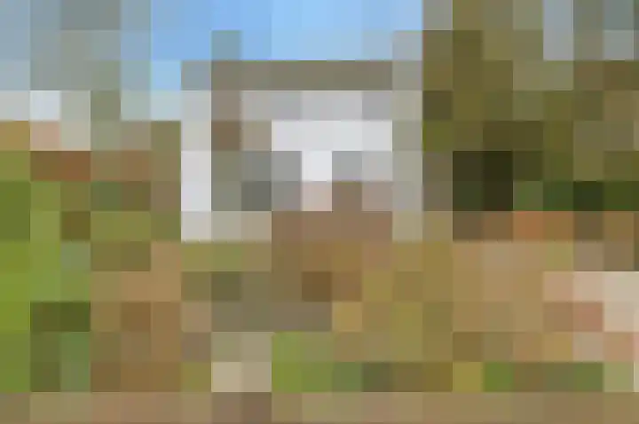 Liesboslaan 45 Breda thumbnail 7