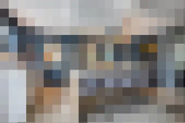 Liesboslaan 85 Breda thumbnail 11