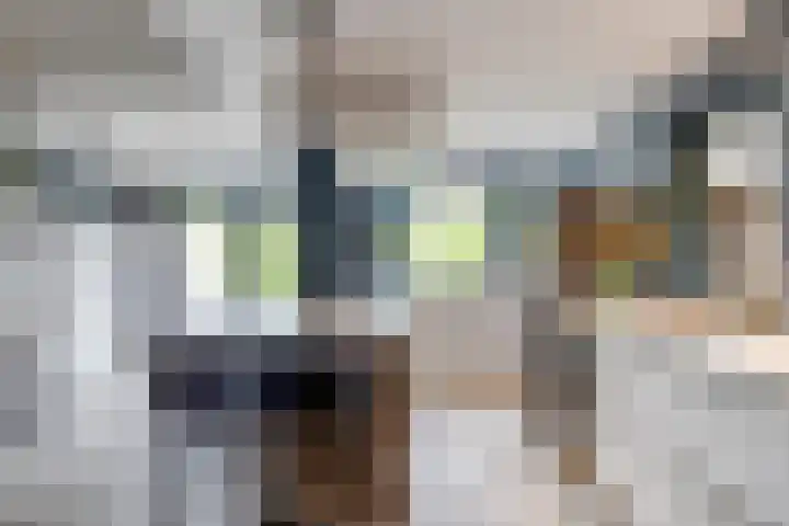 Liesboslaan 85 Breda thumbnail 14