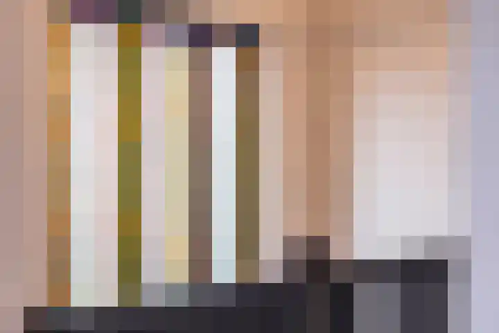 Liesboslaan 85 Breda thumbnail 17