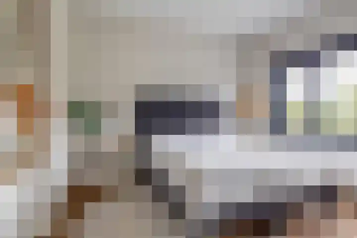 Liesboslaan 85 Breda thumbnail 21