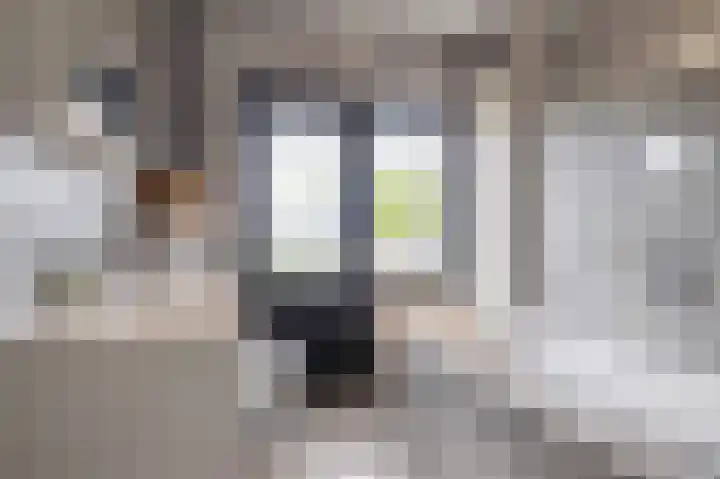 Liesboslaan 85 Breda thumbnail 22