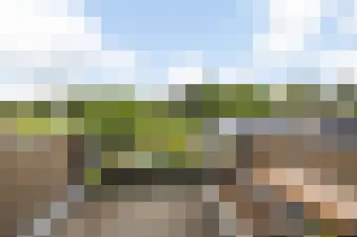 Liesboslaan 85 Breda thumbnail 23