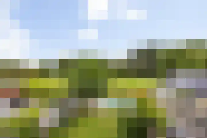 Liesboslaan 85 Breda thumbnail 24