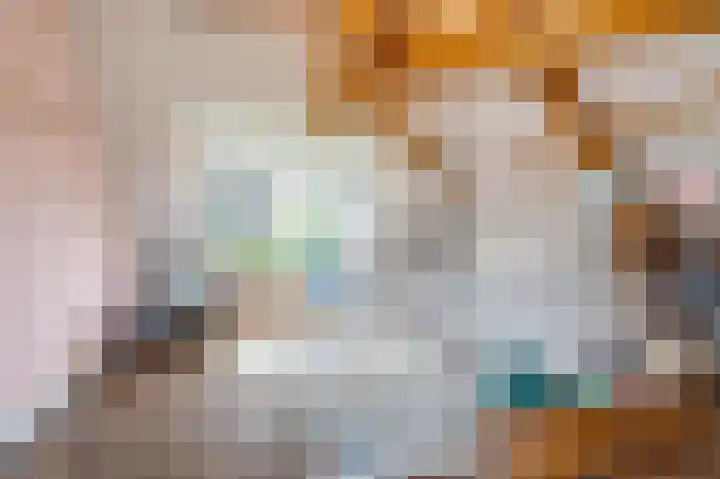 Liesboslaan 85 Breda thumbnail 25