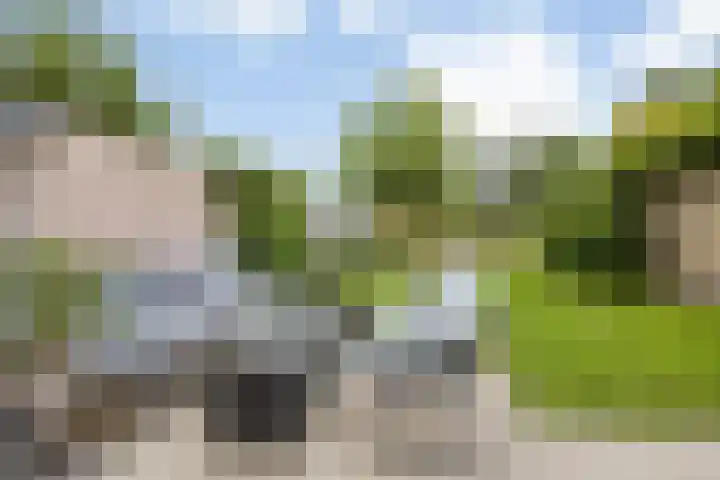 Liesboslaan 85 Breda thumbnail 27
